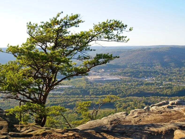 Picture of Lookout Mountain