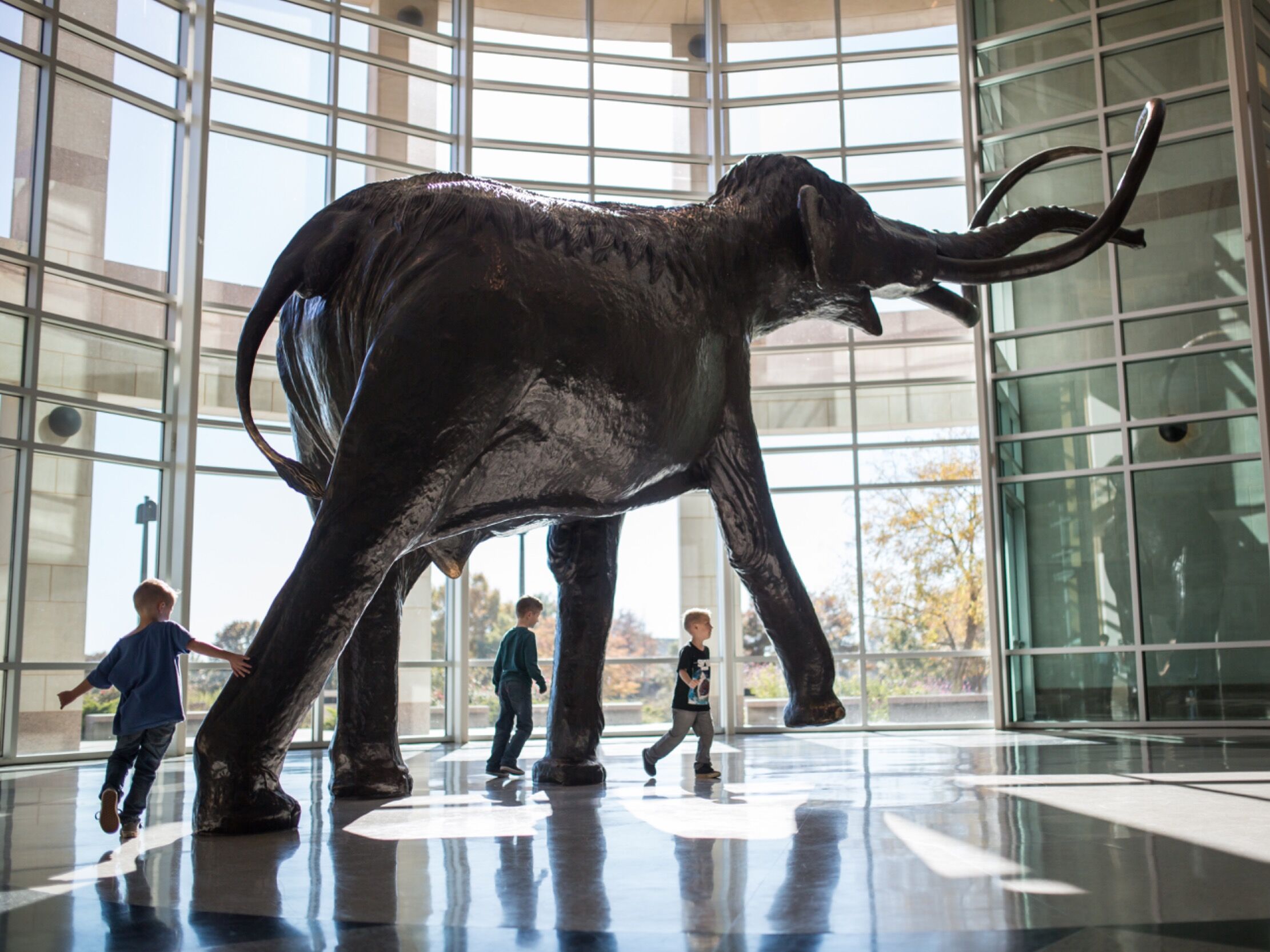 Picture of Sam Noble Oklahoma Museum of Natural History