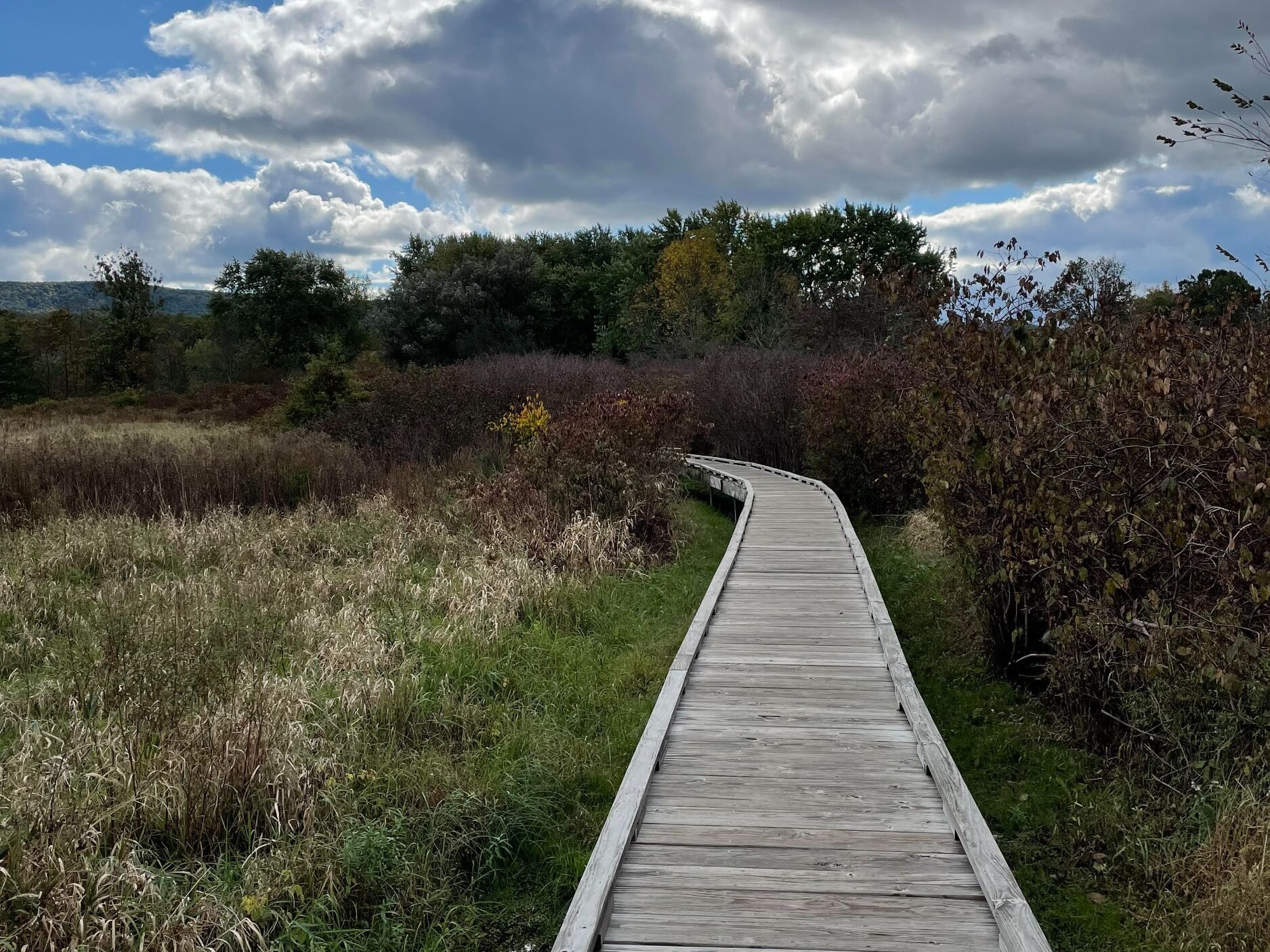 Picture of Hike the Appalachian Trail