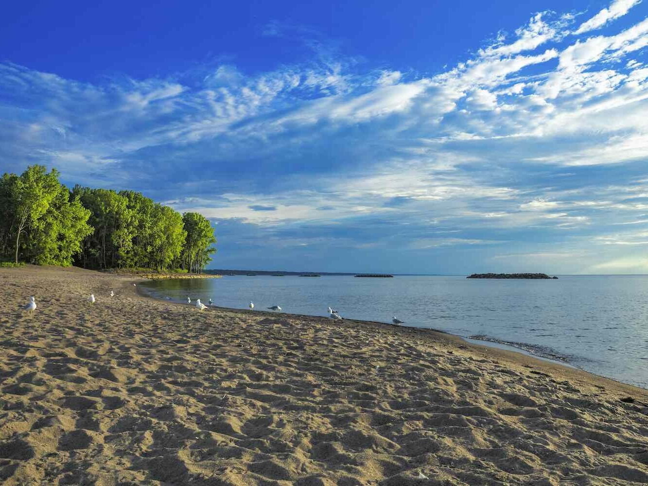 Picture of Presque Isle State Park