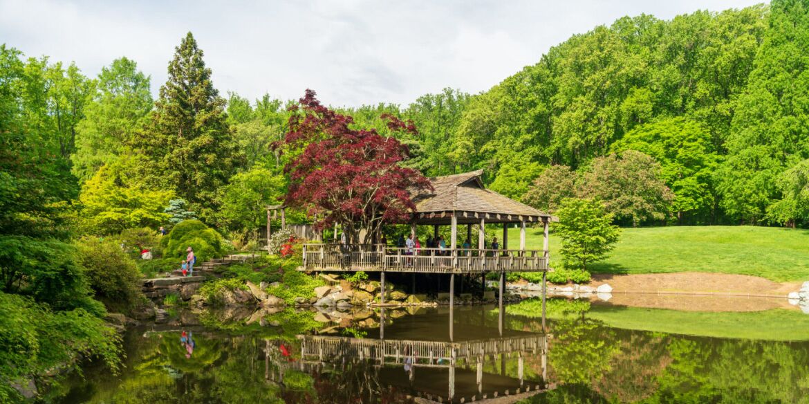 Picture of Brookside Gardens