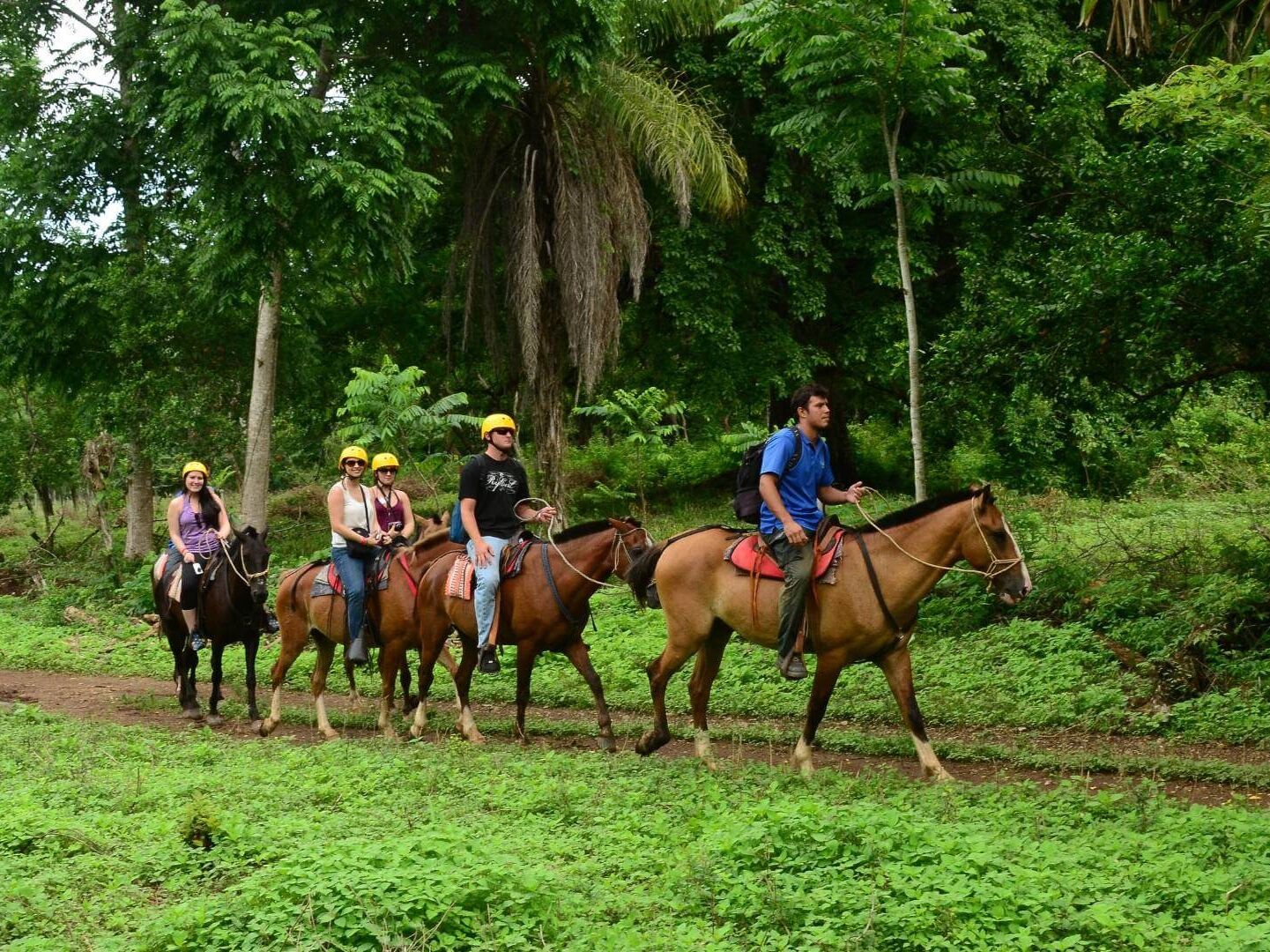 Picture of Horseback Riding 