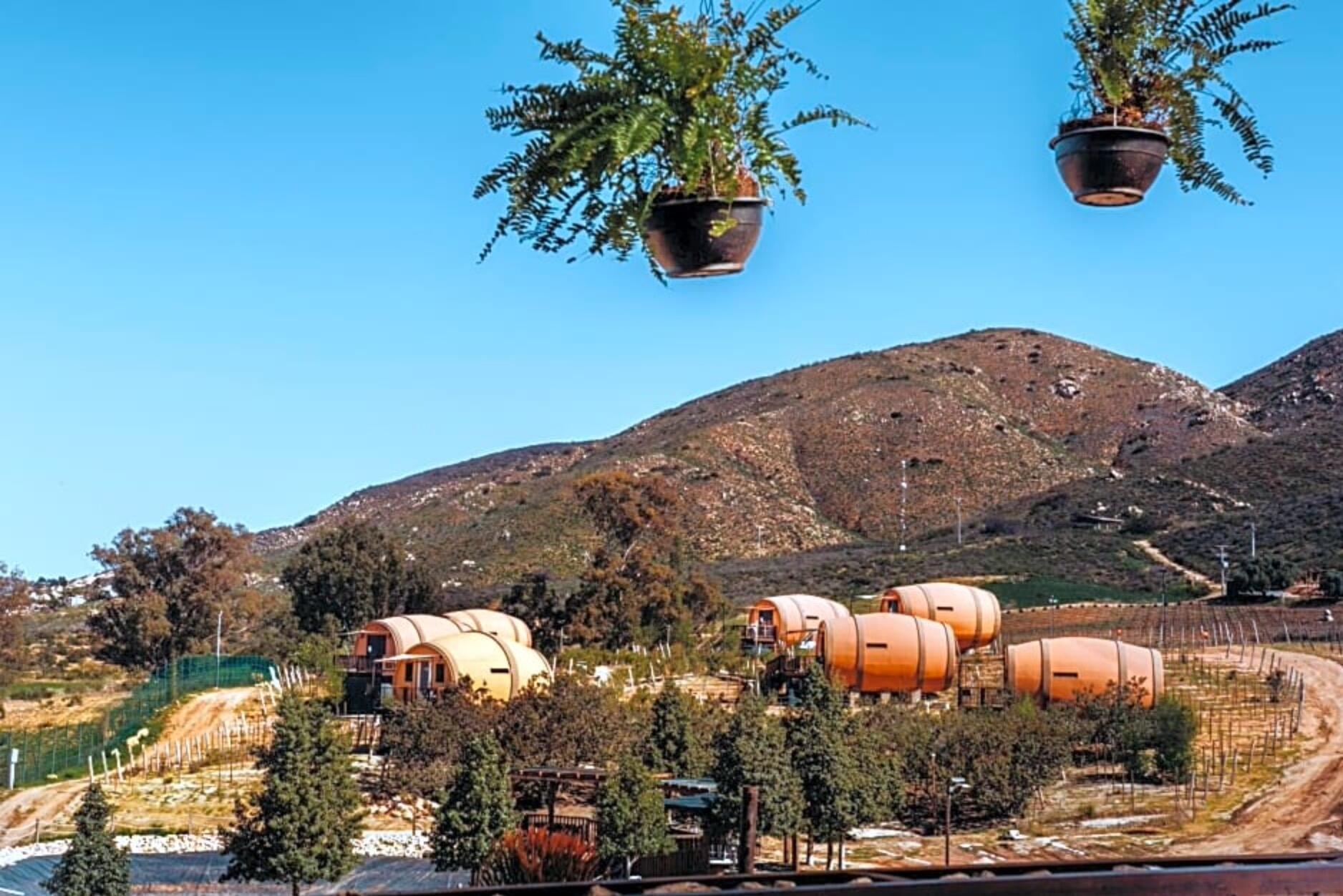 Picture of FINCA EL MIRADOR