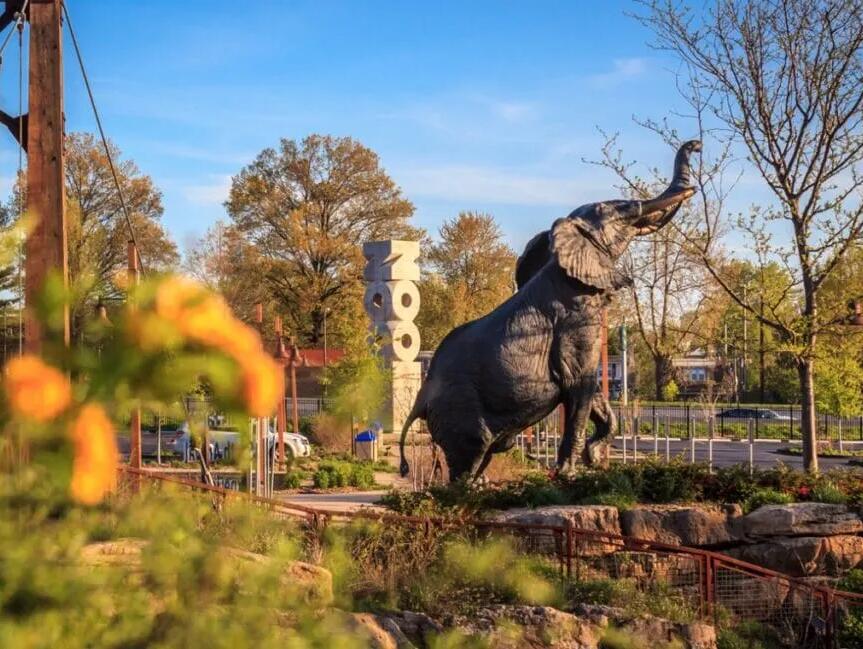 Picture of St. Louis Zoo