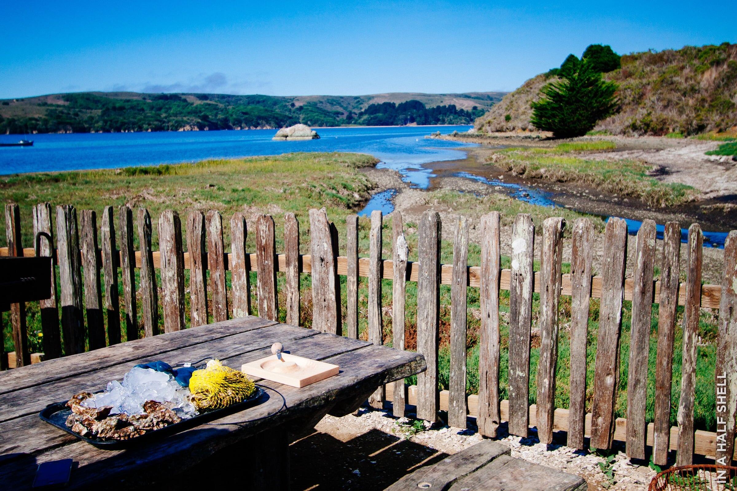 Picture of Hog Island Oyster Co