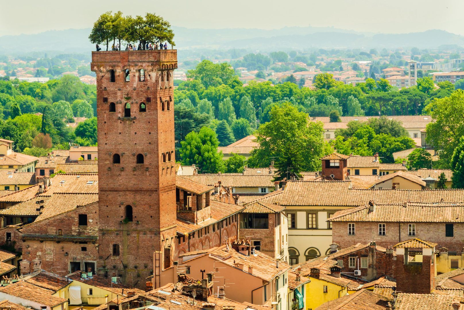 Picture of Lucca