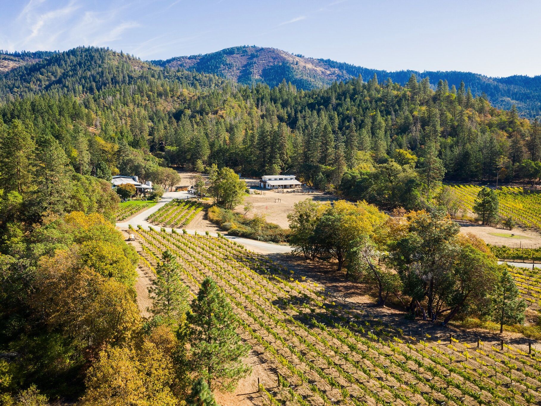 Picture of Applegate Wine Trail