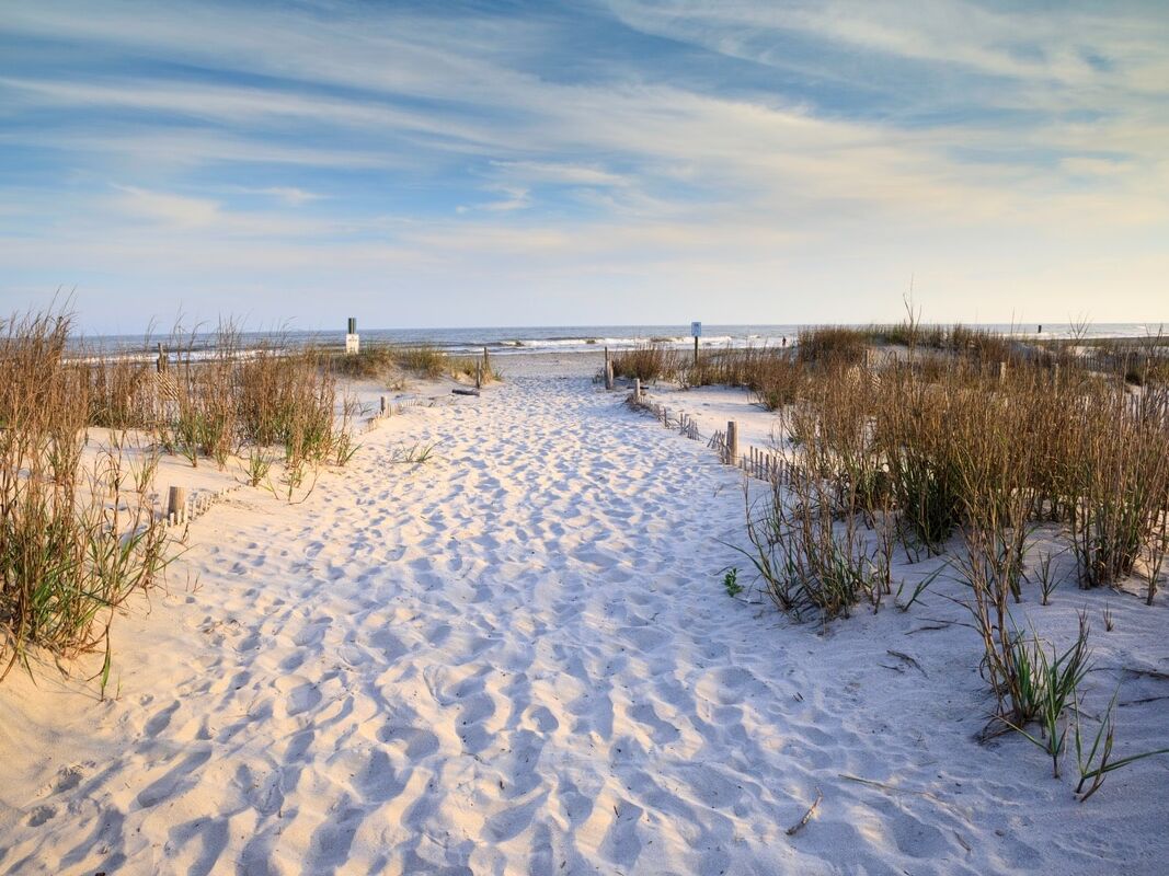 Picture of Go to the beach! 