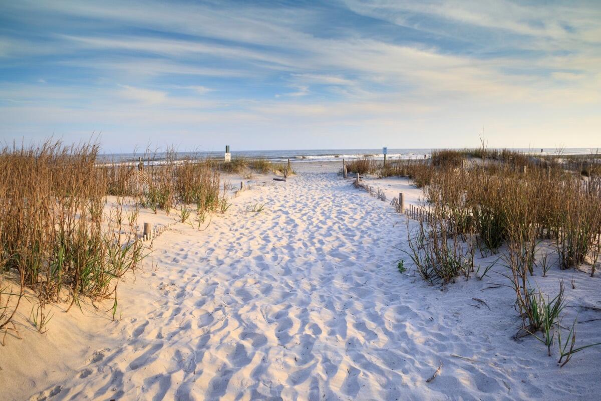 Picture of Go to the beach! 