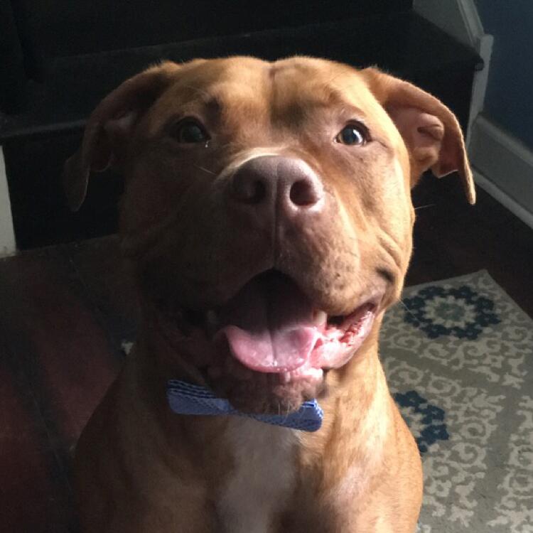 Hooch 