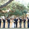 A Regal Navy-and-Gold Military Wedding at Ivory Oak in Texas Hill Country