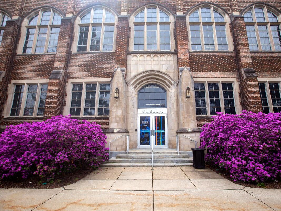 Picture of MSU Museum
