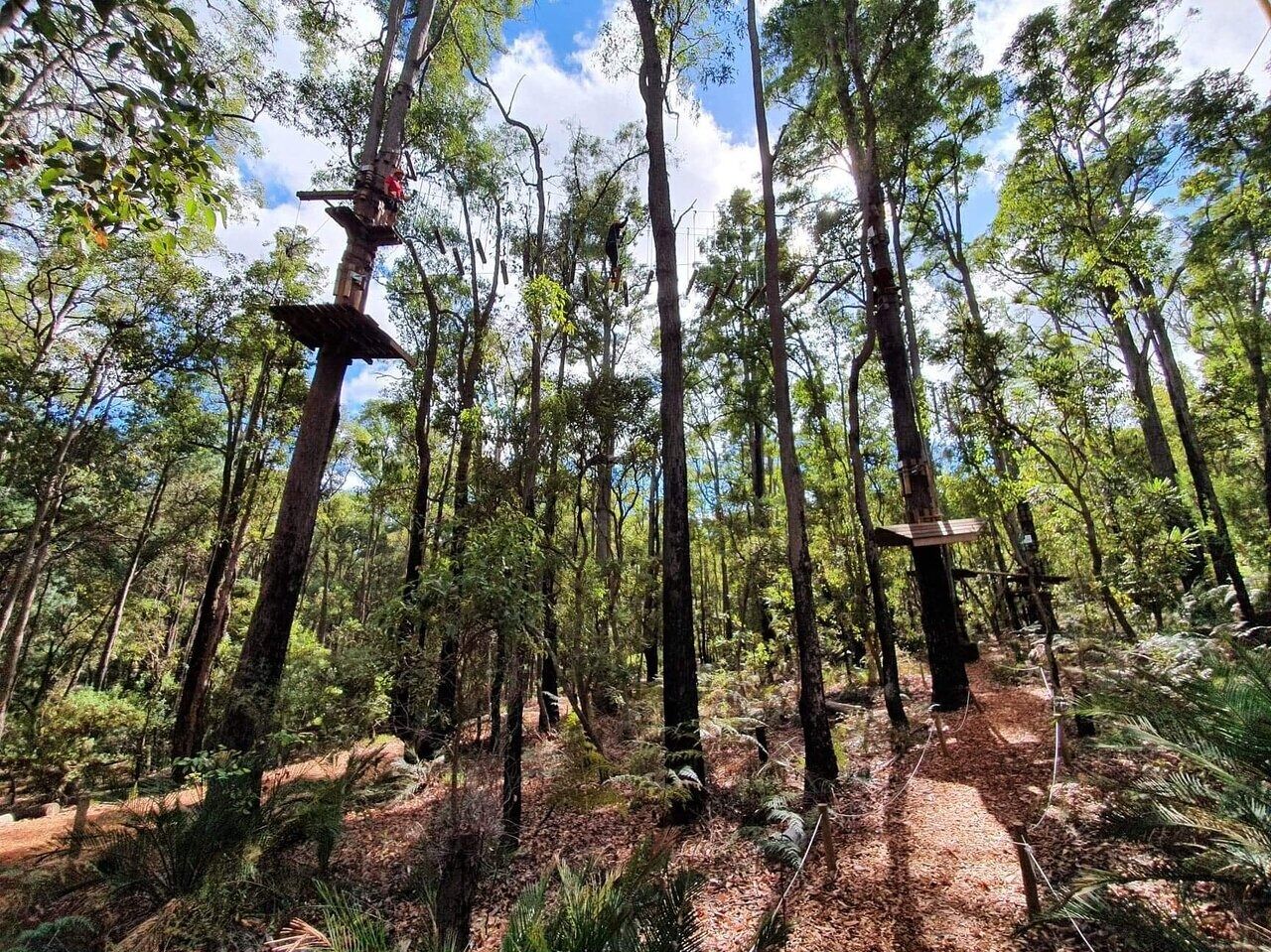 Picture of Treetops Adventure Dwellingup