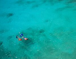 A couple snorkeling in Bonaire, Caribbean.