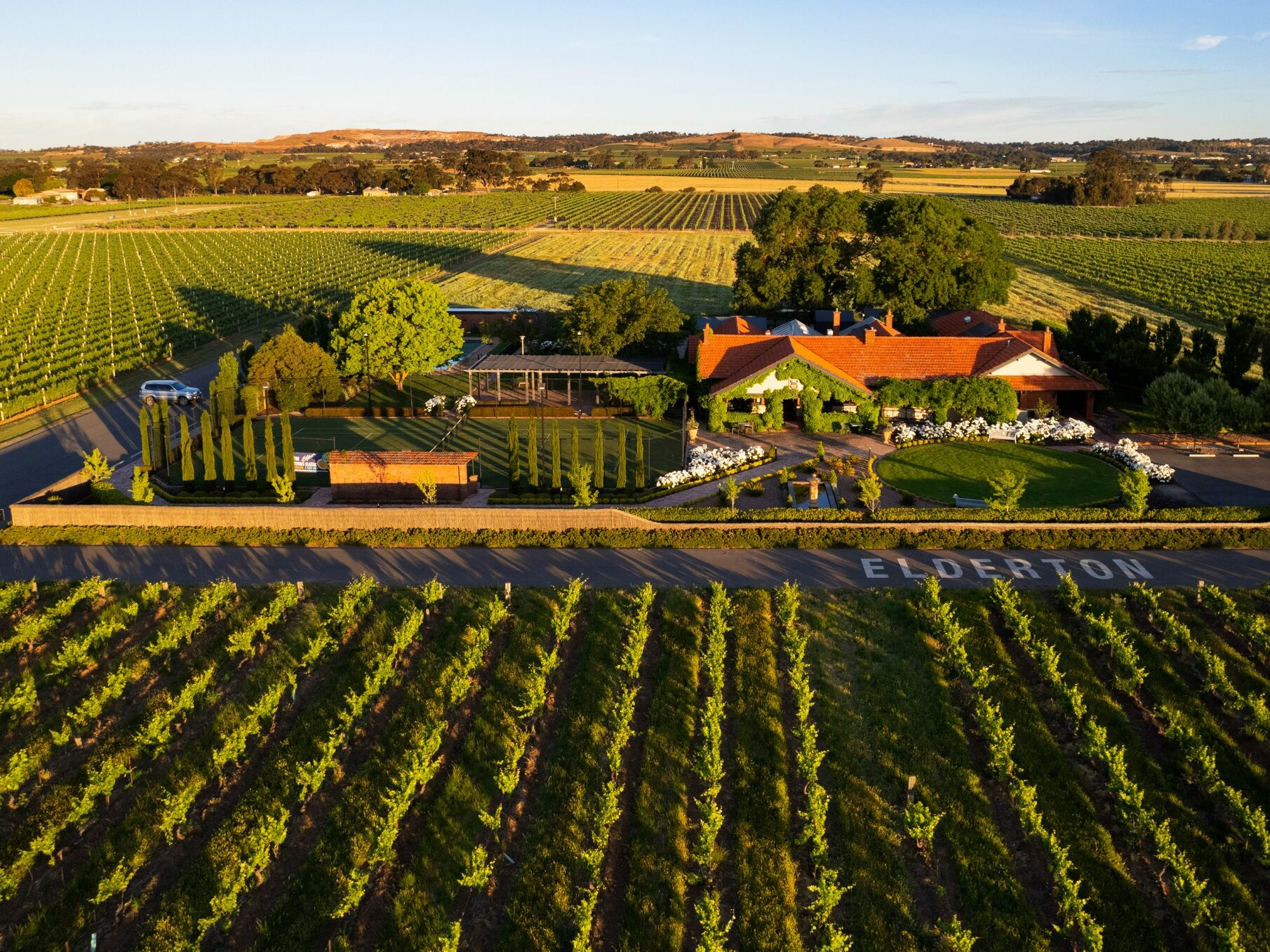 Picture of Elderton Wines - Barossa Valley Wineries