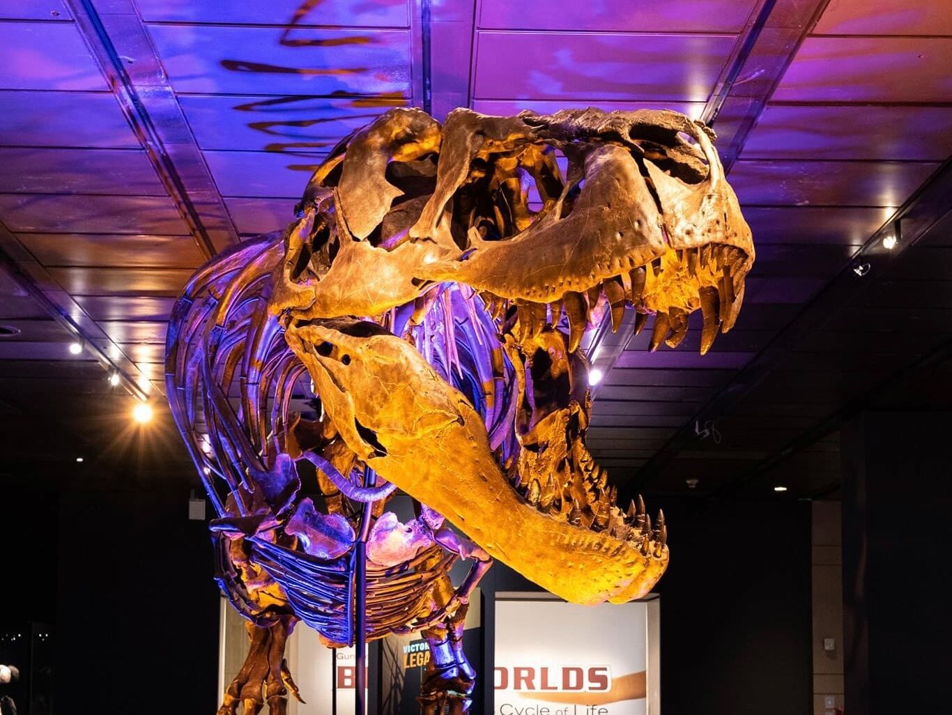Picture of Houston Museum of Natural Science