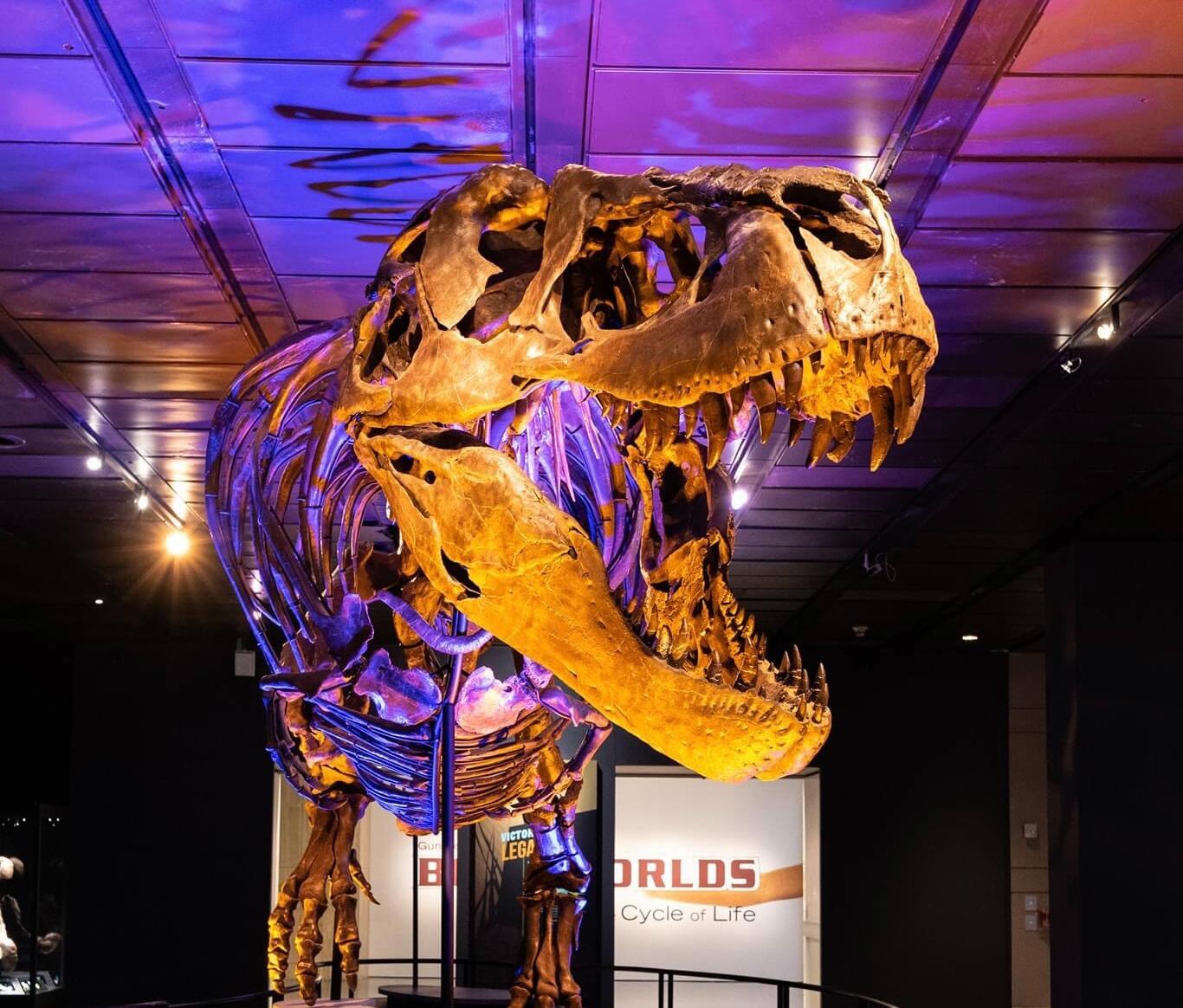 Picture of Houston Museum of Natural Science