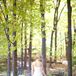 Strapless White Enzoani Wedding Dress