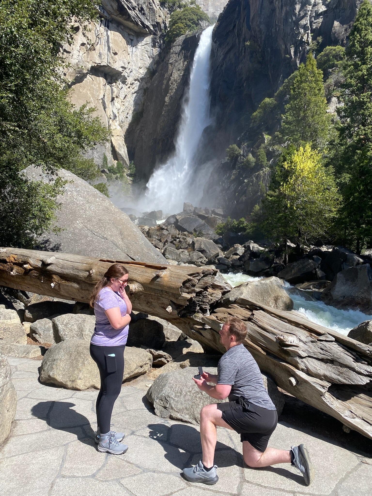 Picture of Proposal
