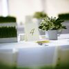 Kimberly & Willy: An Outdoor Wedding in Milton, NY