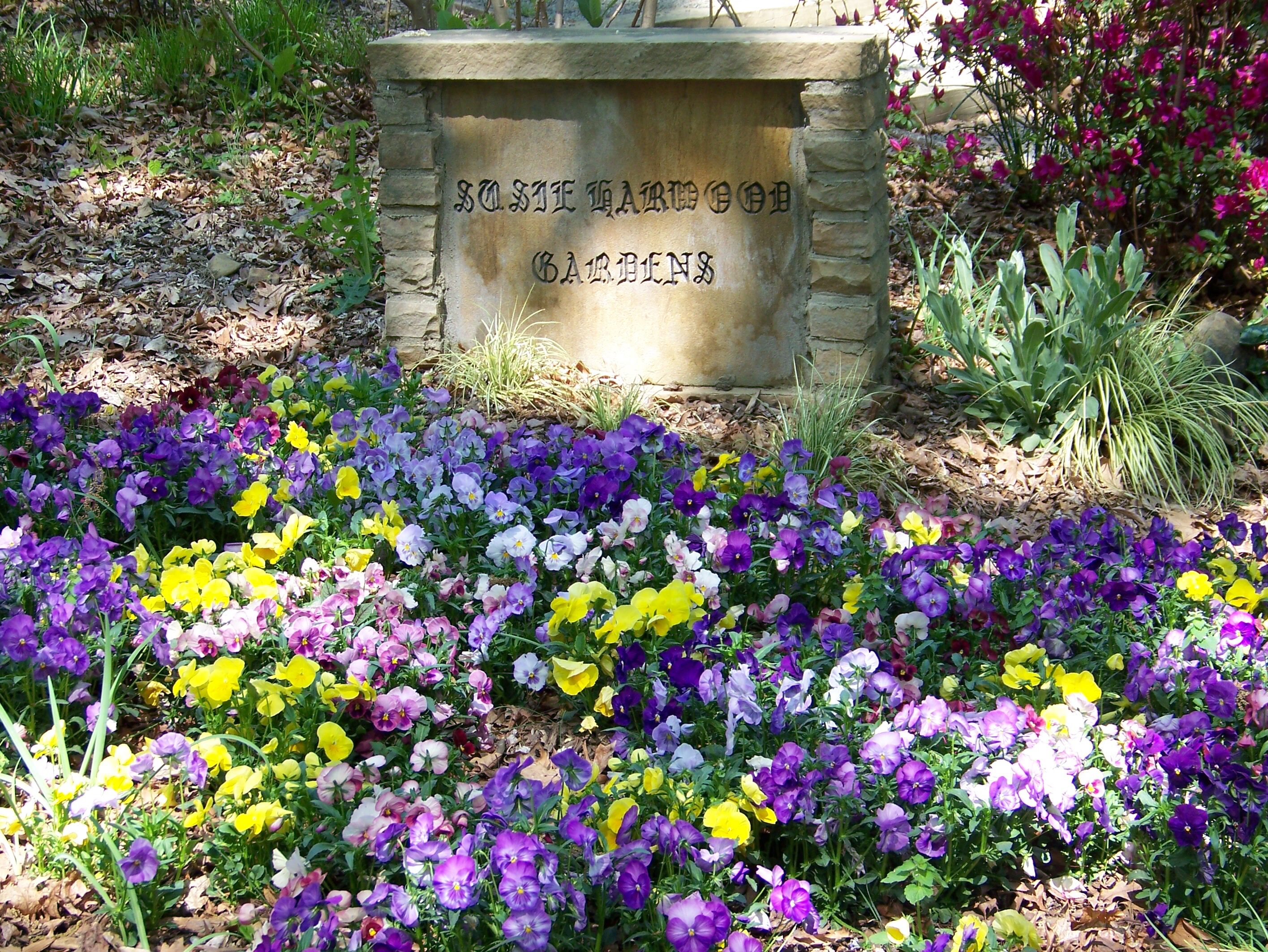 Picture of UNCC Botanical Gardens