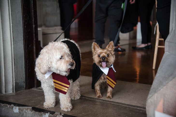 Harry Potter-Inspired Pet Wedding Outfits