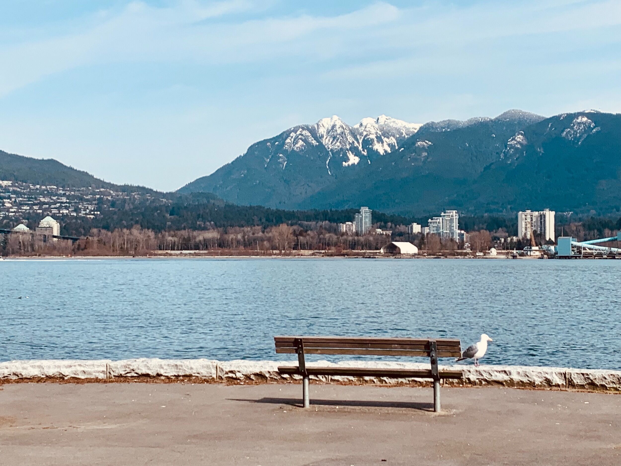 Picture of Stanley Park