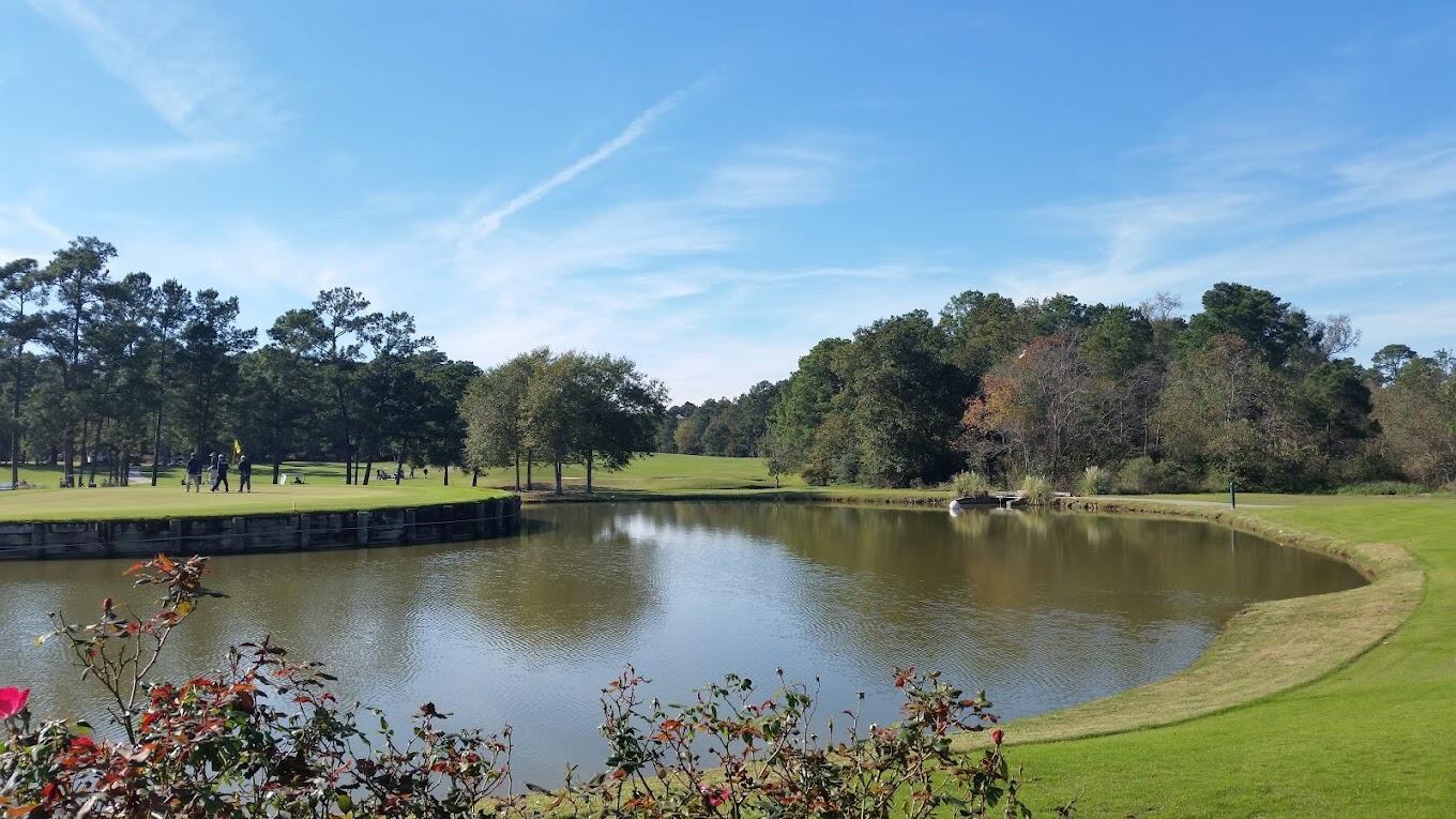 Picture of Tour 18 Golf Course