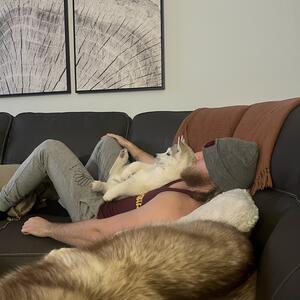 Gallery Photo 43