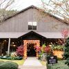 Groovy Wedding at the Lake Oconee Ritz Carlton