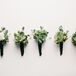 Succulent Boutonnieres