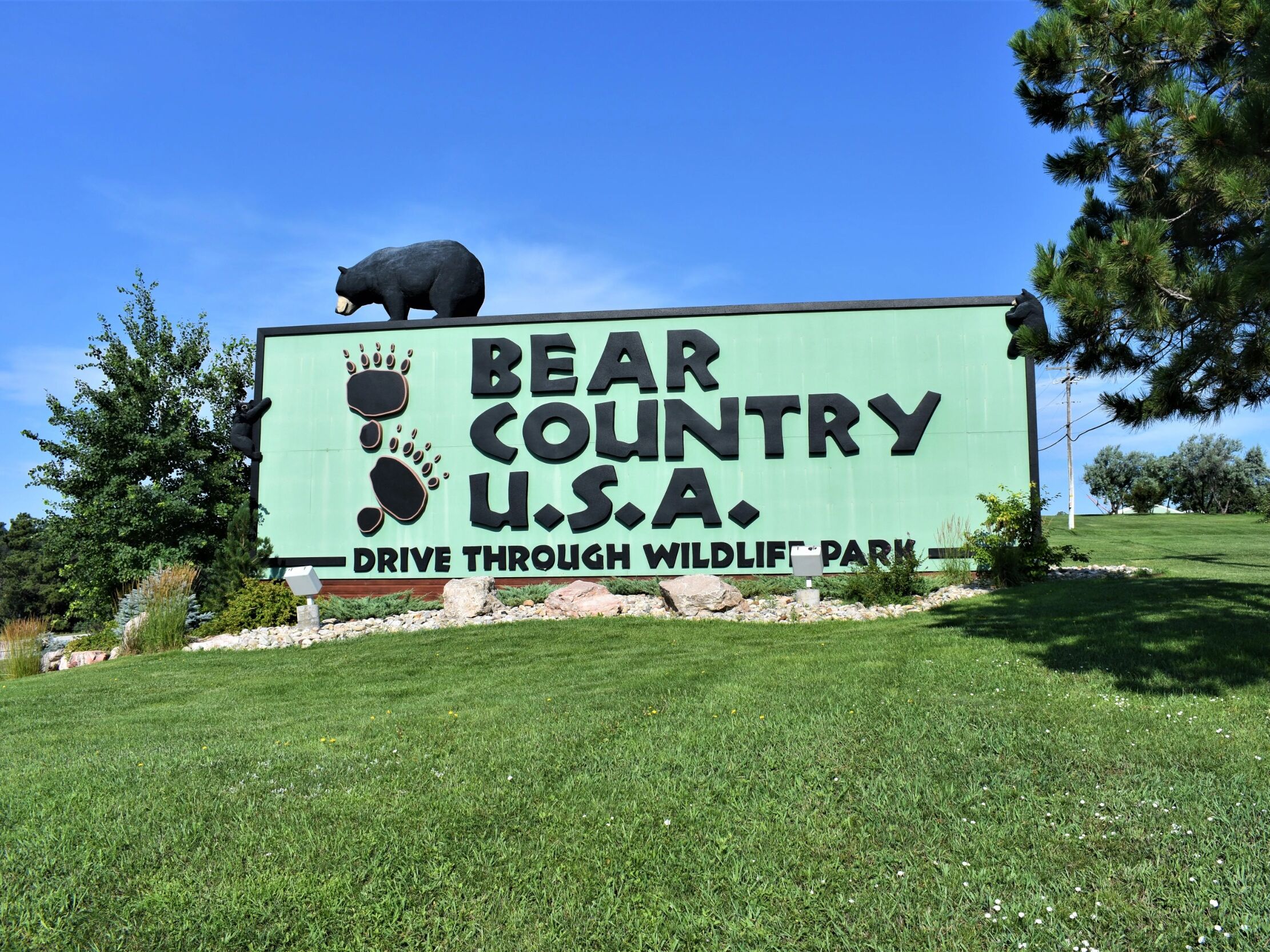 Picture of Bear Country USA