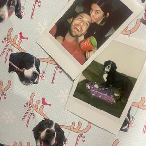 Gallery Photo 16