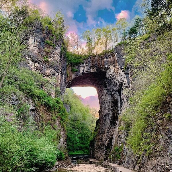 Picture of Natural Bridge State Park