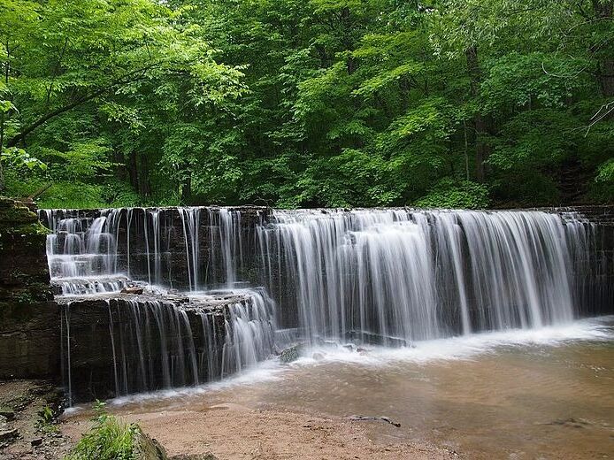 Picture of Nerstrand Big Woods State Park
