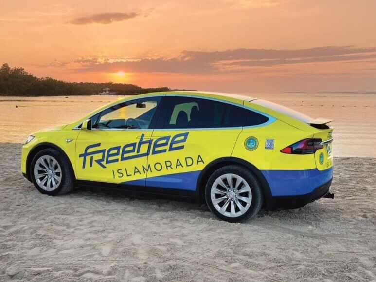 Picture of Freebee