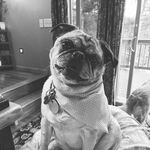Gracie May