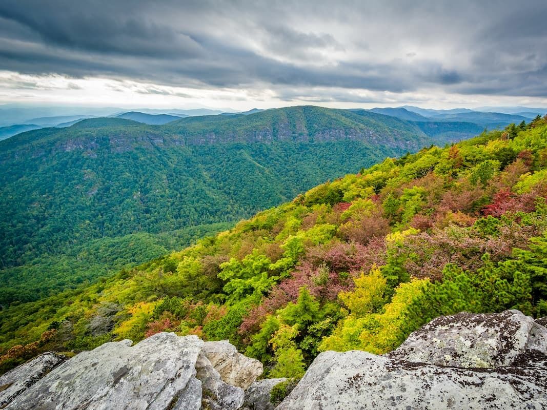 Picture of Pisgah National Forest