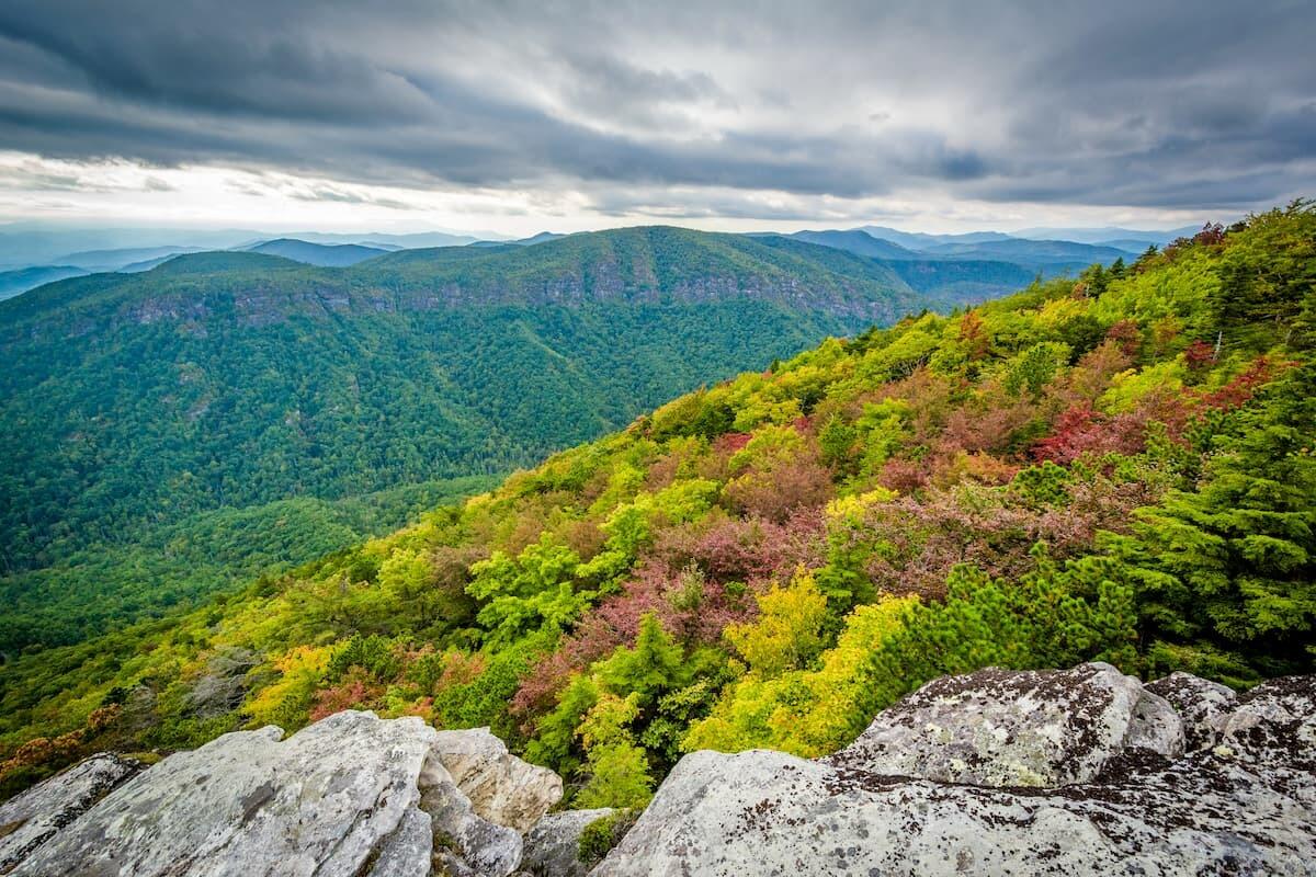 Picture of Pisgah National Forest