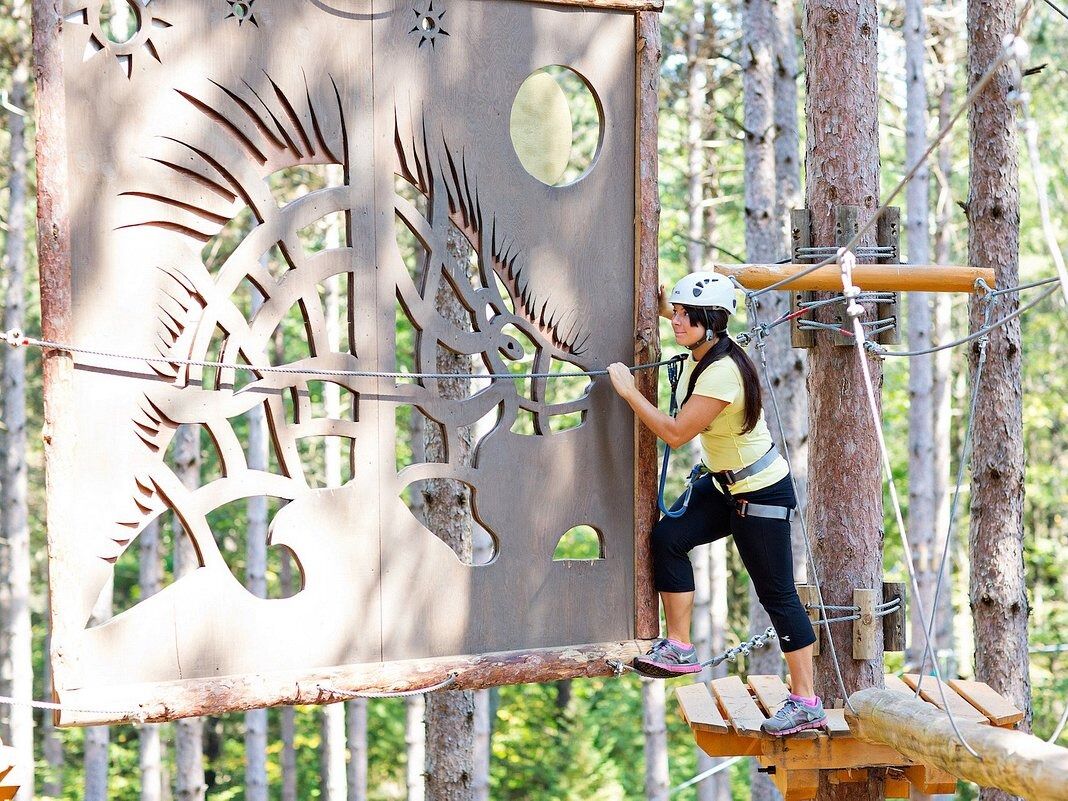 Picture of Tree Top Trekking