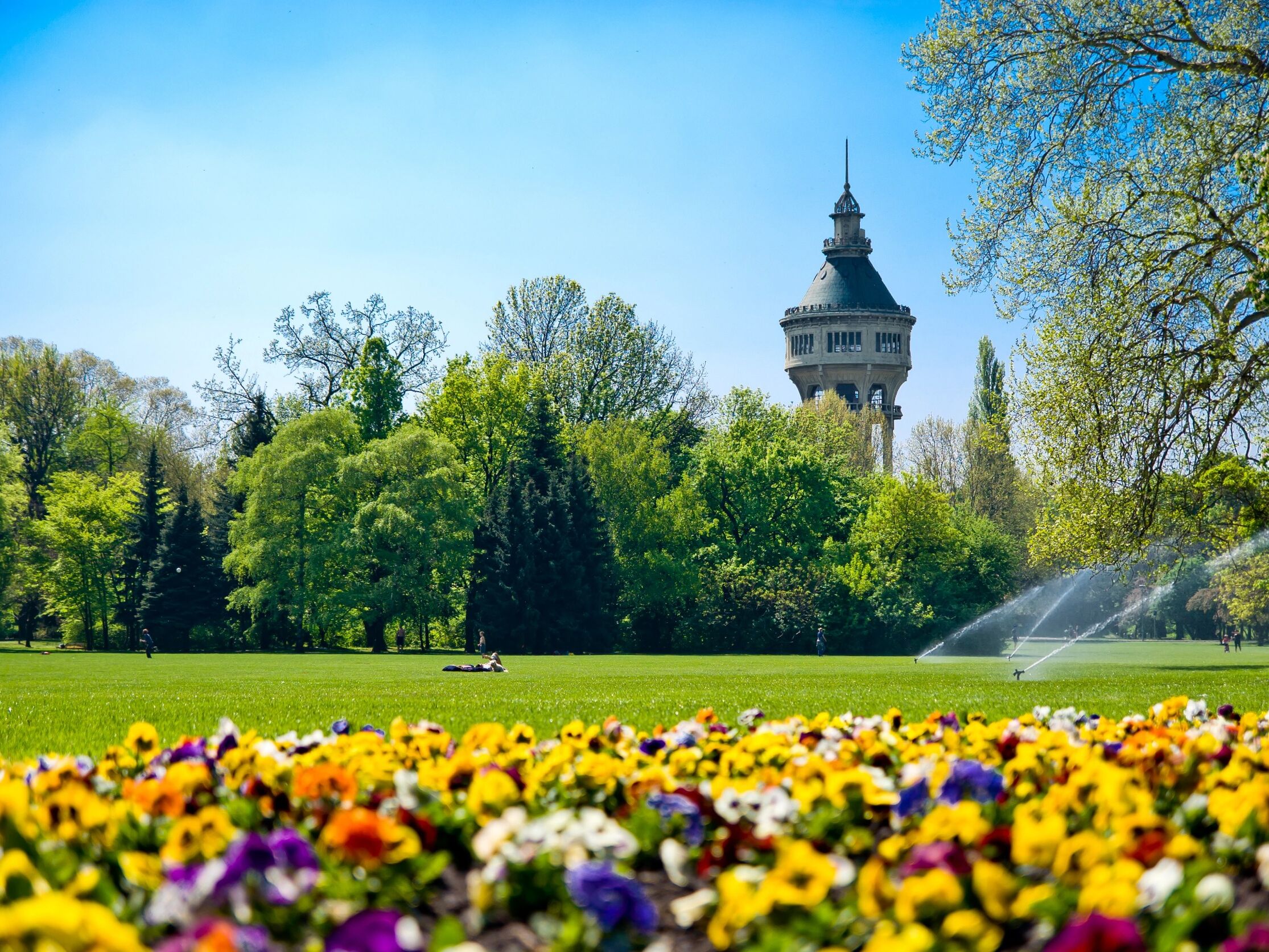Picture of Margaret Island