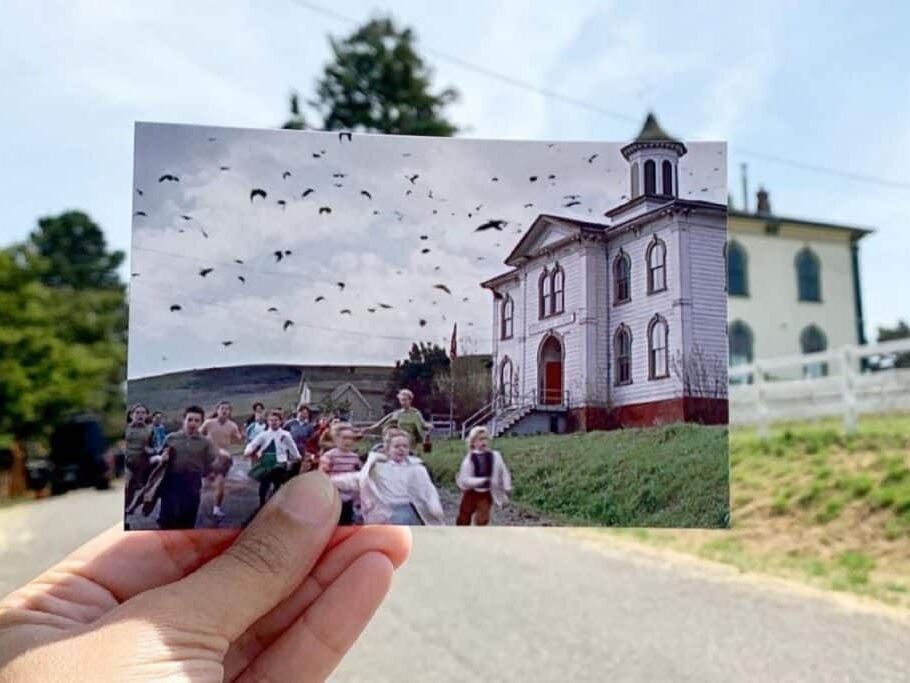 Picture of Alfred Hitchcock's "The Birds" Film Locations