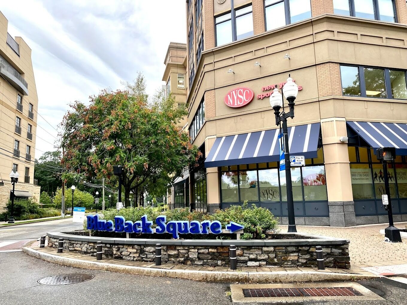 Picture of Blue Back Square (free)