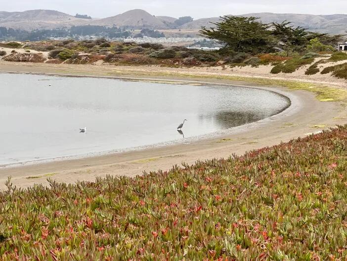 Picture of Doran Regional Park