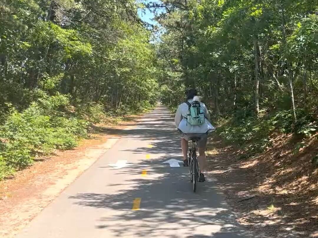 Picture of Cape Cod Rail Trail Parking Route 134
