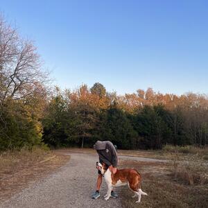 Gallery Photo 38