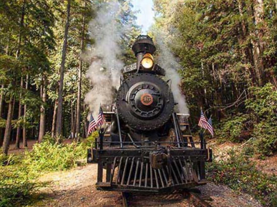 Picture of The Skunk Train & Rail Bikes
