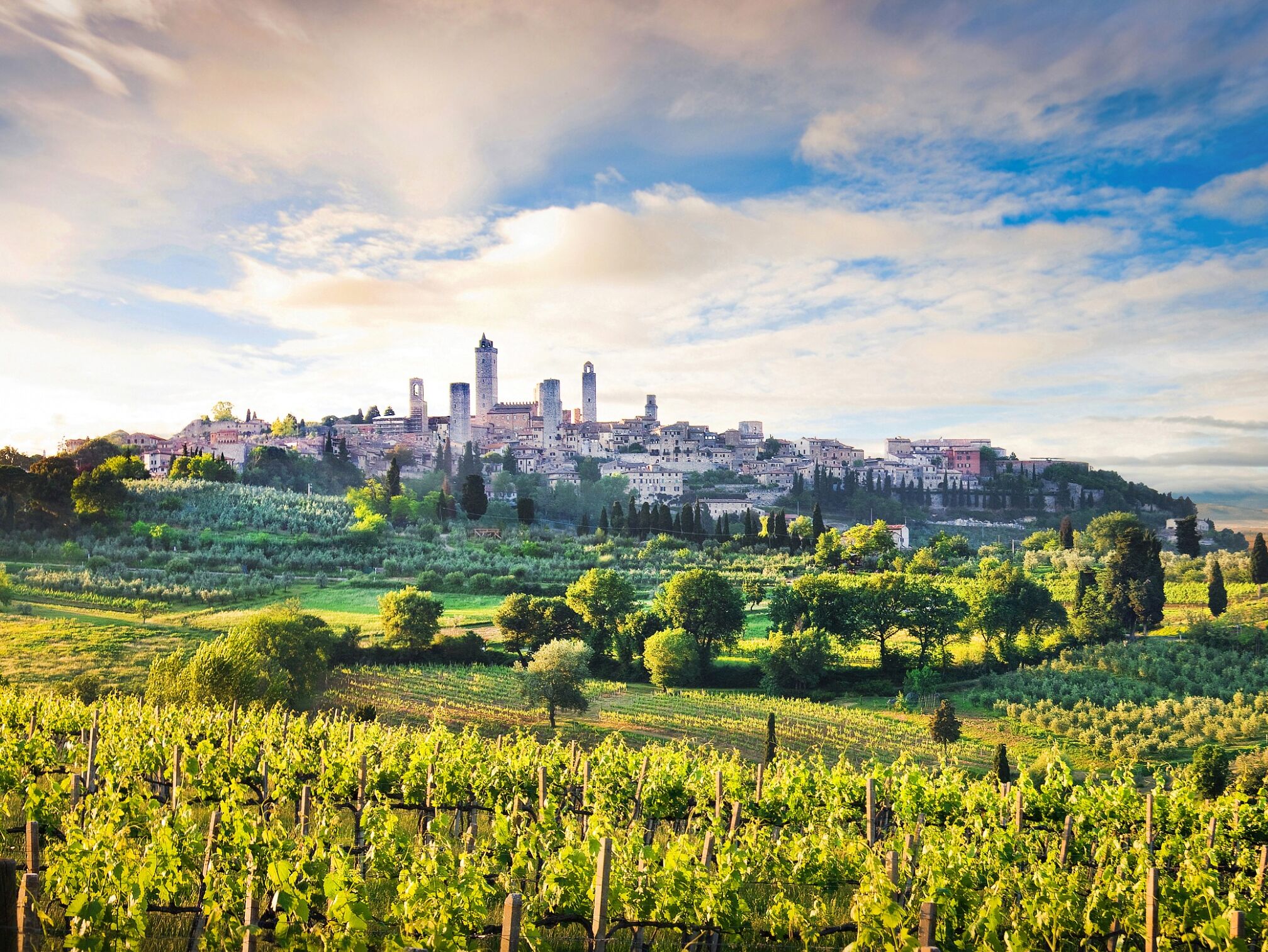 Picture of Day trip to San Gimignano & Siena