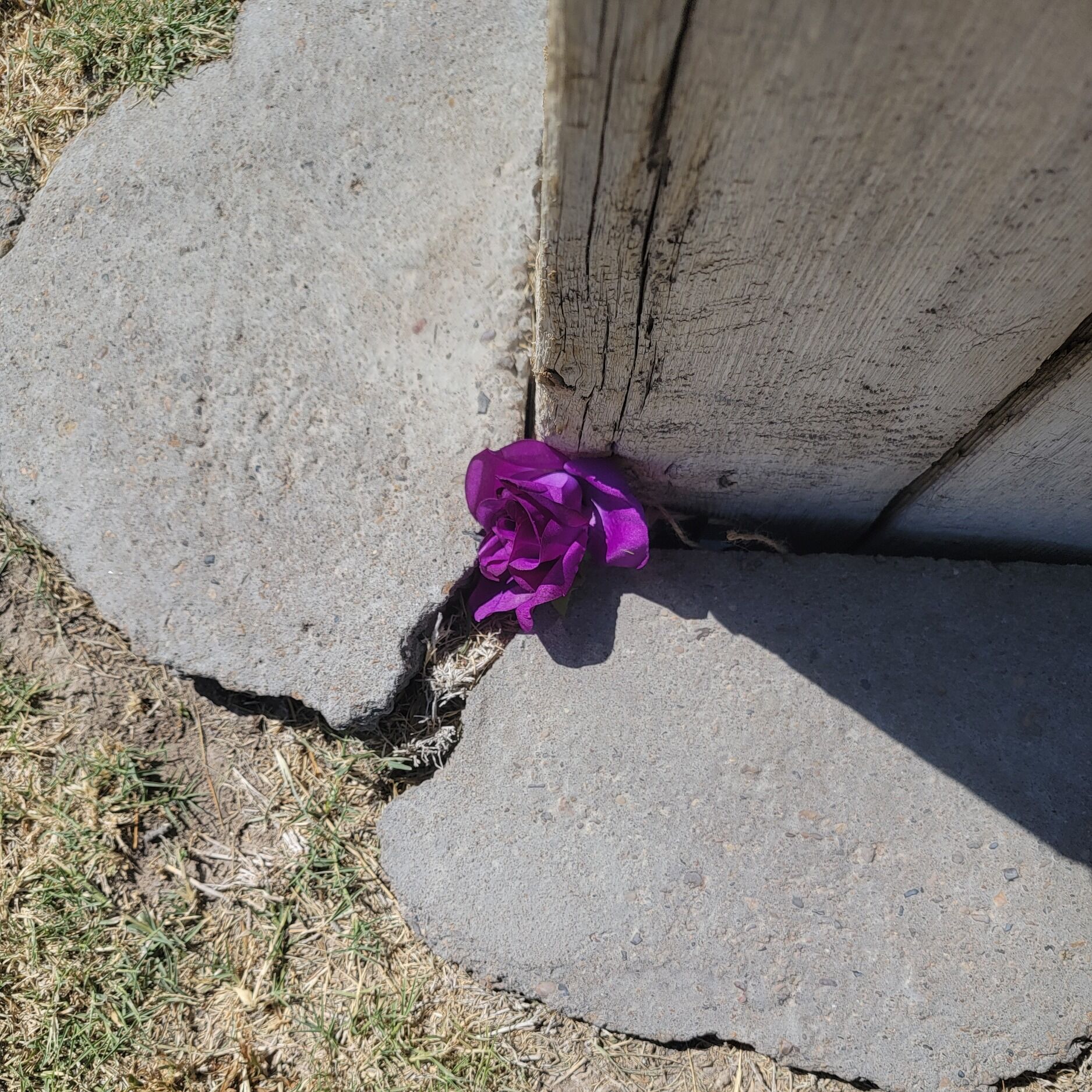 Picture of Clue #2 