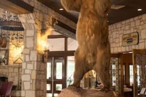 Picture of Y O Ranch Hotel